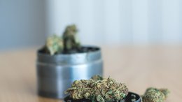 CPH to Acquire Canadian Cannabis Grower and Strengthen Position in Multi-Billion Dollar Market