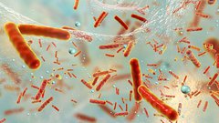 Antibiotic resistance immuron