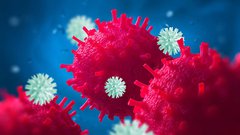 IMC gut bacteria.jpg