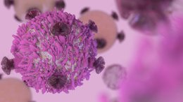 Zero Safety Issues for IMU’s Immunotherapy Cancer Treatment: Phase II Trial Imminent