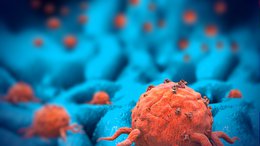 Imugene Meets All Endpoints in Phase 1b Gastric Cancer Immuno-oncology Trial: Tumour Reduction In Gastric Cancer