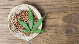 MXC to Build Malta Production Facility to Capitalise on $55B Global Pot Market