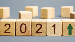 Our Stock Picks for 2021