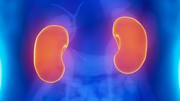 DXB Close to Phase 2 Results: Progresses Promising CKD Product