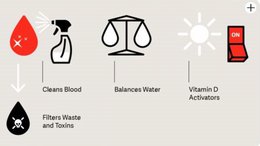 Private Equity Biotech Deal Maker in ASX Offering