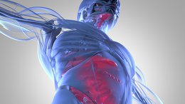 ASX Stock to Launch on NASDAQ with Gut Busting Immunotherapy Products