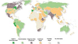 Is a Cannabis Cultivation License Now Just Days Away for MMJ?